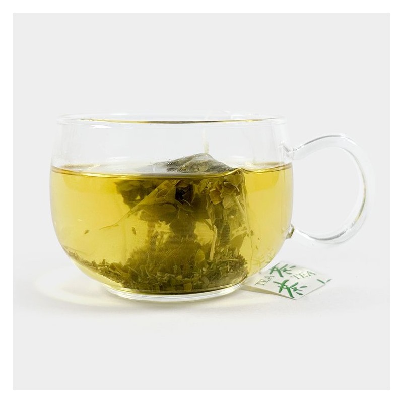Moringa 모링가잎 모링가차 삼각티백차 100개 모닝가 모린가 Moringa Leaf Moringa
