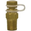 Winters STP Series STP001 Brass Test Plug, 1/4" NPT Male