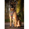 Helltails Anti-Pull Dog Harness for Small Dogs, Padded, No Absorb,