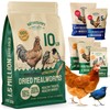 Hatortempt Bulk Dried Mealworms, 10 Lbs – Non-GMO Mealworms for