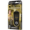 WINMAU Bobby George 24 gram Tungsten Darts Set with Flights