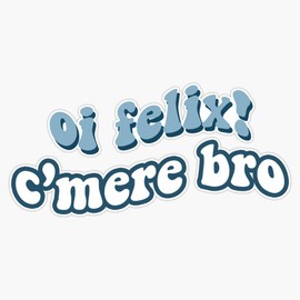 bangchan oi felix! c'mere bro Bumper Sticker Vinyl Decal 5 inches