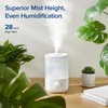 LEVOIT Top Fill Humidifiers for Bedroom, 2.5L Tank for Large
