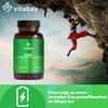 vitabay Vitabay Iron High Dose 319 mg - 120 Vegan