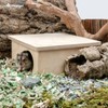 Niteangel Birch Chamber Maze Hamster Hideout - Small Pets Forest