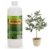 𝐏𝐑𝐎𝐅𝐄𝐒𝐒𝐈𝐎𝐍𝐀𝐋 Liquid Silica Plant Supplement - 32oz - OLIVE TREE