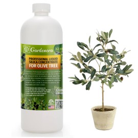 𝐏𝐑𝐎𝐅𝐄𝐒𝐒𝐈𝐎𝐍𝐀𝐋 Liquid Silica Plant Supplement - 32oz - OLIVE TREE Plants Liquid Silica Boost Fertilizer - Stronger Stems & Healthy Leaves for Indoor & Outdoor Olive Trees (Makes 180 Gallons)