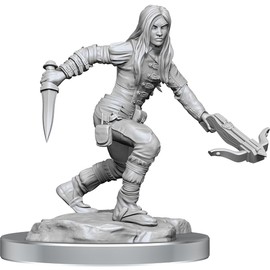 D&D Nolzur's Marvelous Miniatures: Half-Elf Rogue Female