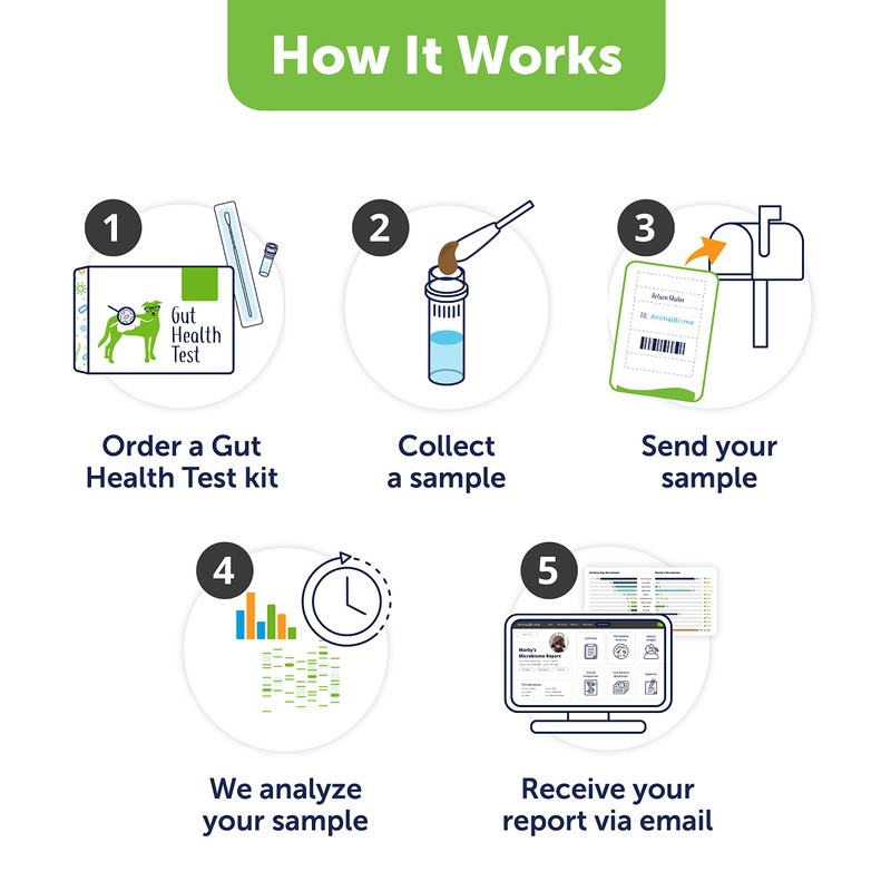 AnimalBiome Dog Probiotics Test Kit - Gut Microbiome Health Test