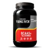 Aminoacidos Pre Entreno Bcaas +glutamina 1kg Warhorse Varios