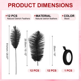 PATIKIL 12 Pcs Natural Ostrich Feathers 10-12 Inch / 25-30 CM Large Ostrich Feather Kit for Crafts, Vase, Home Decoration, Wedding, Party, Centerpieces, Flower Arrangement (Black)