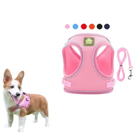 FEimaX No Pull Dog Harness and Leash Set, Soft Mesh Harnesses Vest Reflective Escape Proof for Small Dogs Cats Vest Adjustable Pet Outdoor Harnesses for Puppy Kitten Rabbit