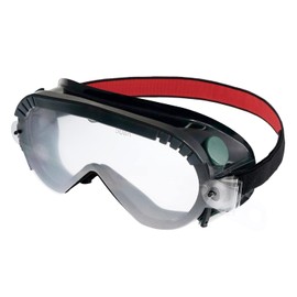 Swan Painting Goggles YGP – 601 Mist Stress