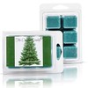 The Candle Daddy Pine Tree - Blue Spruce -Pine -Chritmas