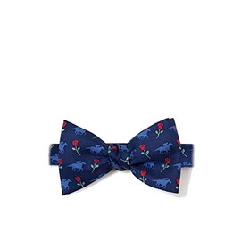 Men's Alynn 100% Silk Blue Victory Rose Horse Race Racing Derby Bow Tie