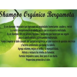 2 Shampoo De Bergamota Para Crecimiento Capilar Y Alopecia                                                                                            