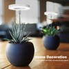LORDEM Grow Light, Full Spectrum LED Plant Light for Indoor