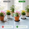 6 Pcs Plant Saucers for Indoors, Felt Plant Mat, Round