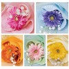 Yume Gift Bouquet Towel, 5 Colors, Senshu Towel, Flower Bouquet,