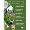 GreenPanda Fungus Gnats Remedy - 250 g Substrate for Fighting