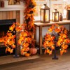 PEIDUO 2 Pack Maple Tree Fall Decor, Lighted Fall Tree