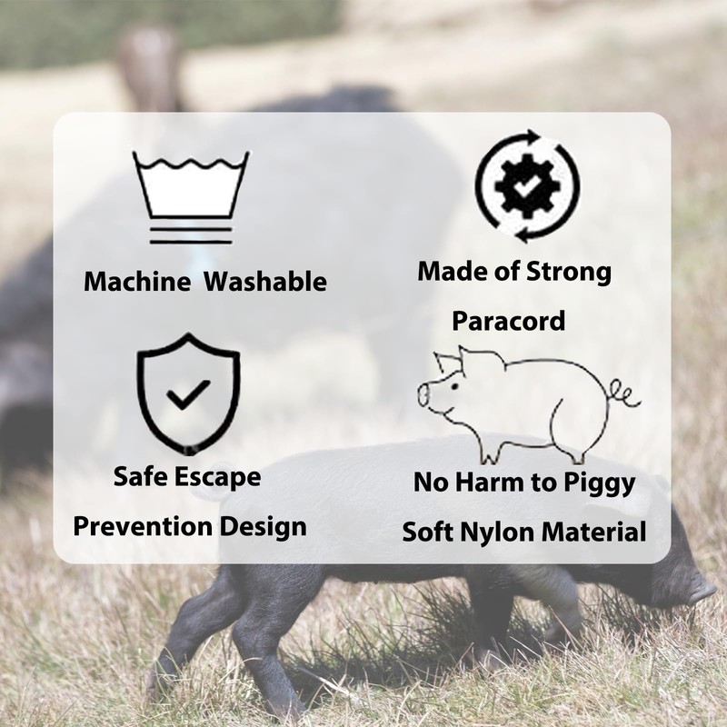 Pig Harness & Leash, Escape Prevention Adjustable Rope, All in