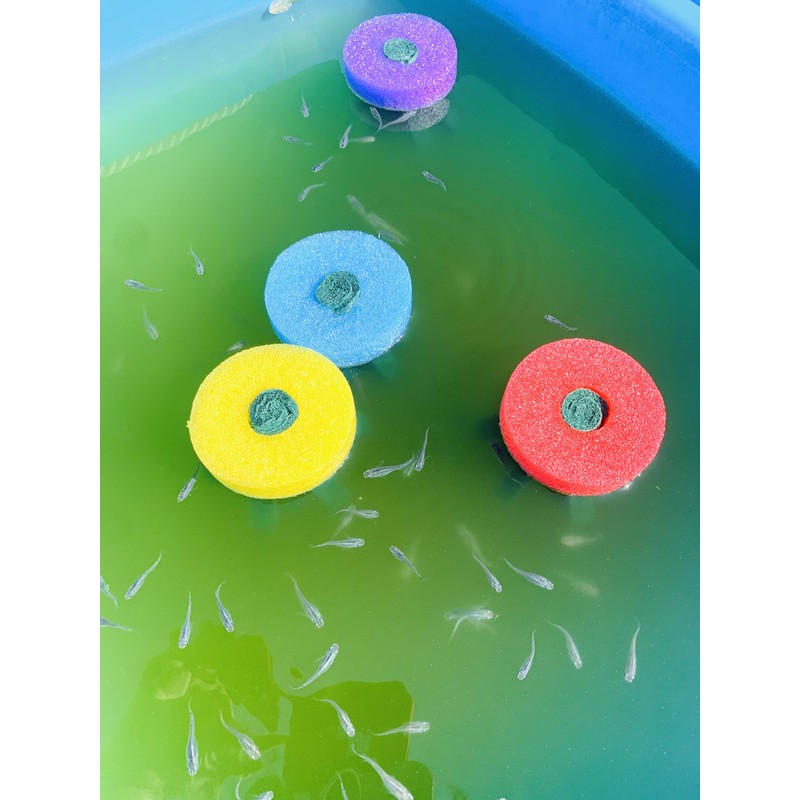 Tomo-chan's Medaka Shop, Eggs, Spawning Floor, 8 Pieces, 4 Colors