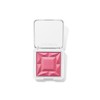 ReDimension Hydra Powder Blush Makeup with Compact - Organic Gel