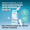 numbuzin numbuzin No.1 Powder | Pantothenic B5 Active Drying Powder