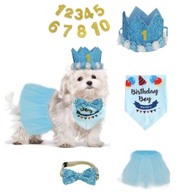Dog Birthday Party Supplies Set,Boy Girls Dog Birthday Bandana,Cute Small Dog Birthday Hat,Tutu,Dog Bow Tie Collar with 0-8 Numbers,Birthday Decorations for Cat,Dogs First Birthday(Blue-2,Small)