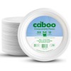 Caboo Disposable Bamboo Paper Plates, 125 Pack of 10 Inch