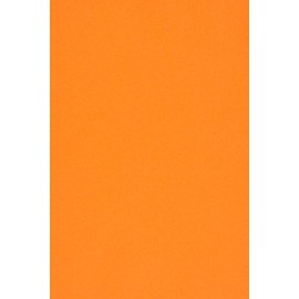 Netuno Sirio Colour Arancio Coloured Card DIN A4 210 x 297 mm 170 g Fine Card Coloured Craft Card A4 Coloured Coloured Card for DIY Projects Business Cards Pack of 20