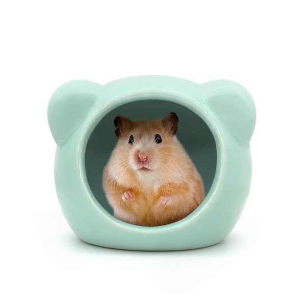Andiker Ceramic Hamster House, Cute Animal Shape Hamster Cave Summer