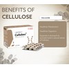Hunger Control Tablets | Cellobex Appetite control tablets for Women