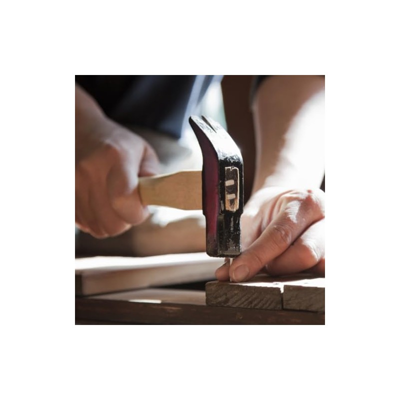 Galvanised Round Wire Nails -100mm Length (Pack of 19)