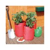St Helens Home and Garden Tomato Grow Bags - Pack