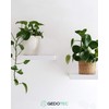 Gedotec Shelf Bracket, Pack of 10, Invisible Shelf Brackets with