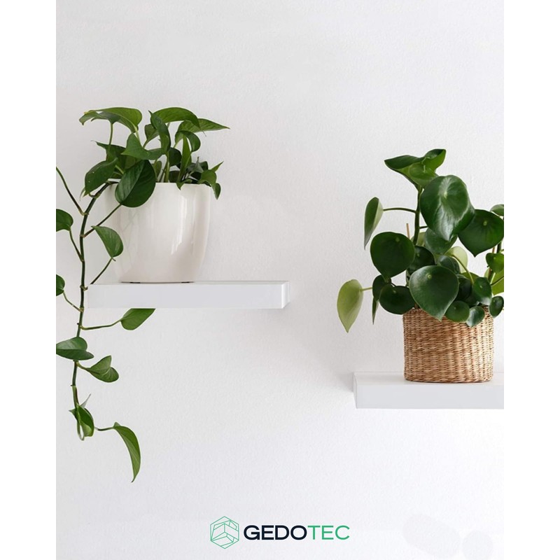 Gedotec Shelf Bracket, Pack of 10, Invisible Shelf Brackets with