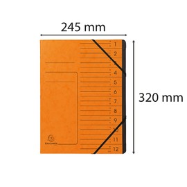 Exacompta 541204E premium folder stapled. Made from extra strong Colorspan cardboard DIN A4, 12 black compartments and 2 elastic bands with organisation print, ring folder, index folder, orange.