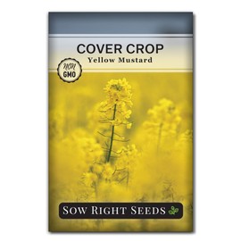 Sow Right Seeds - Yellow Mustard Seed for Planting - Cover Crops to Plant in Your Home Garden - Enriches Soil - Suppresses Weeds - Cold Hardy - Non-GMO Heirloom Seeds - Great Gardening Gift (1)