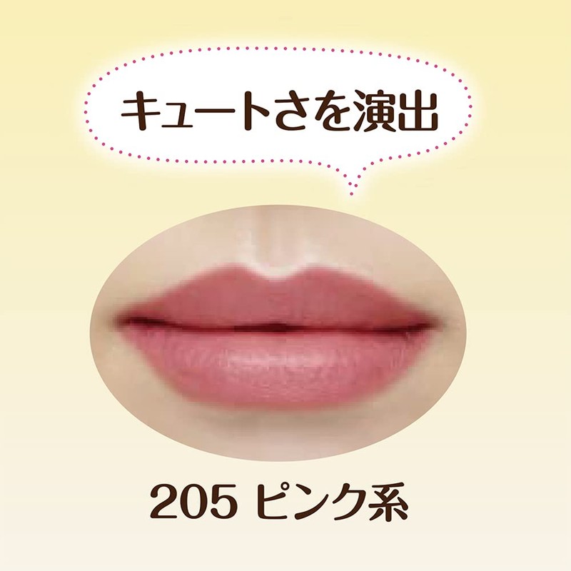Lasting Lip Colour Long Stay Lipstick 205 Cezanne