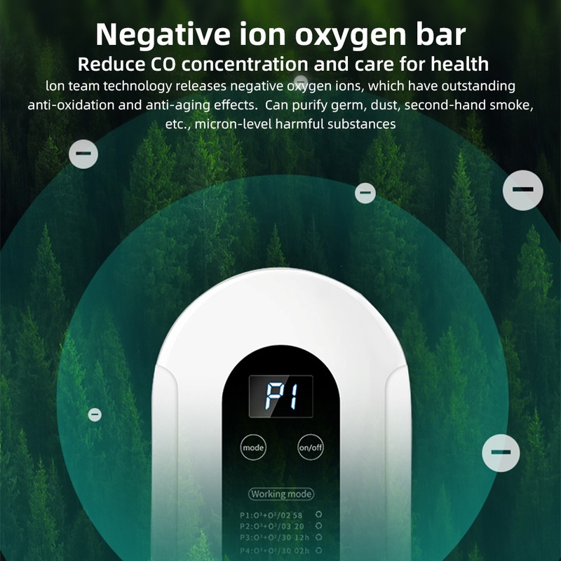 Negative Ion Air Purifier Eliminates Smoke and Odor Formaldehyde 4
