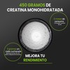 Creatina Alta Pureza 90 raciones, 5g por ración, 450g, Creatina