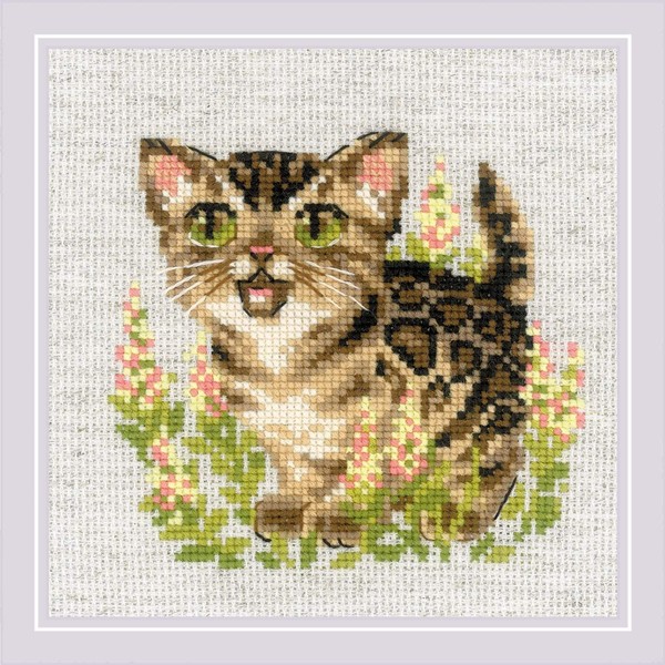 Riolis Counted Cross Stitch Kit 6"X6"-Bengal Kitten (14 Count)