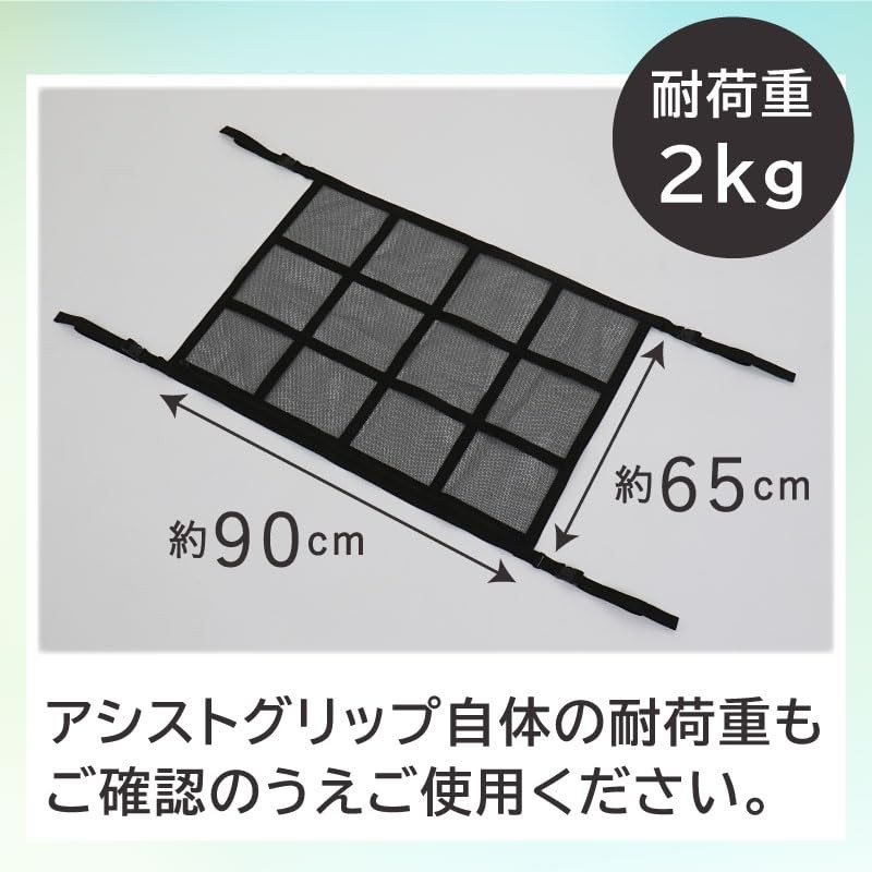 Astro 607-55 Car Roof Net, Black, Ceiling Storage Net, Cargo