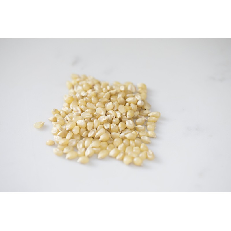 Amish Country Popcorn | 50 lbs Bag | Medium White