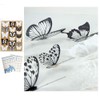 3D Butterfly Wall Stickers PVC Butterfly Wall Stickers for Room