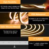 Lucienstar LED Neon Rope Lights, 32.8Ft Warm White Led Strip