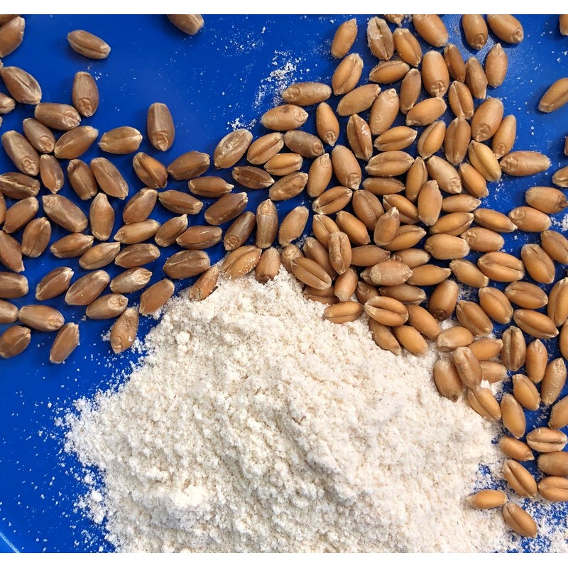 Early Morning Harvest Organic General Purpose Flour - Made from