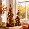 Lighted Fall Table Tree, Pumpkin Tabletop Decor for Thanksgiving Home